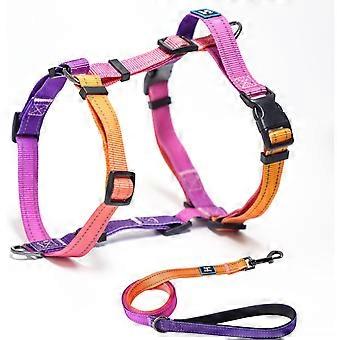 Arnés para perros con correa, correa de arnés ajustable sin tirones, arneses reflectantes para cabestros para perros, mango acolchado cómodo, arnés para pasear mascotas para perros medianosMi