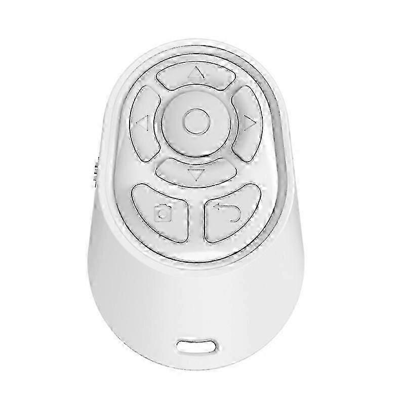 Wireless Powerpoint Presentation Remote Control PPT Flip Pen Pointers Clicker