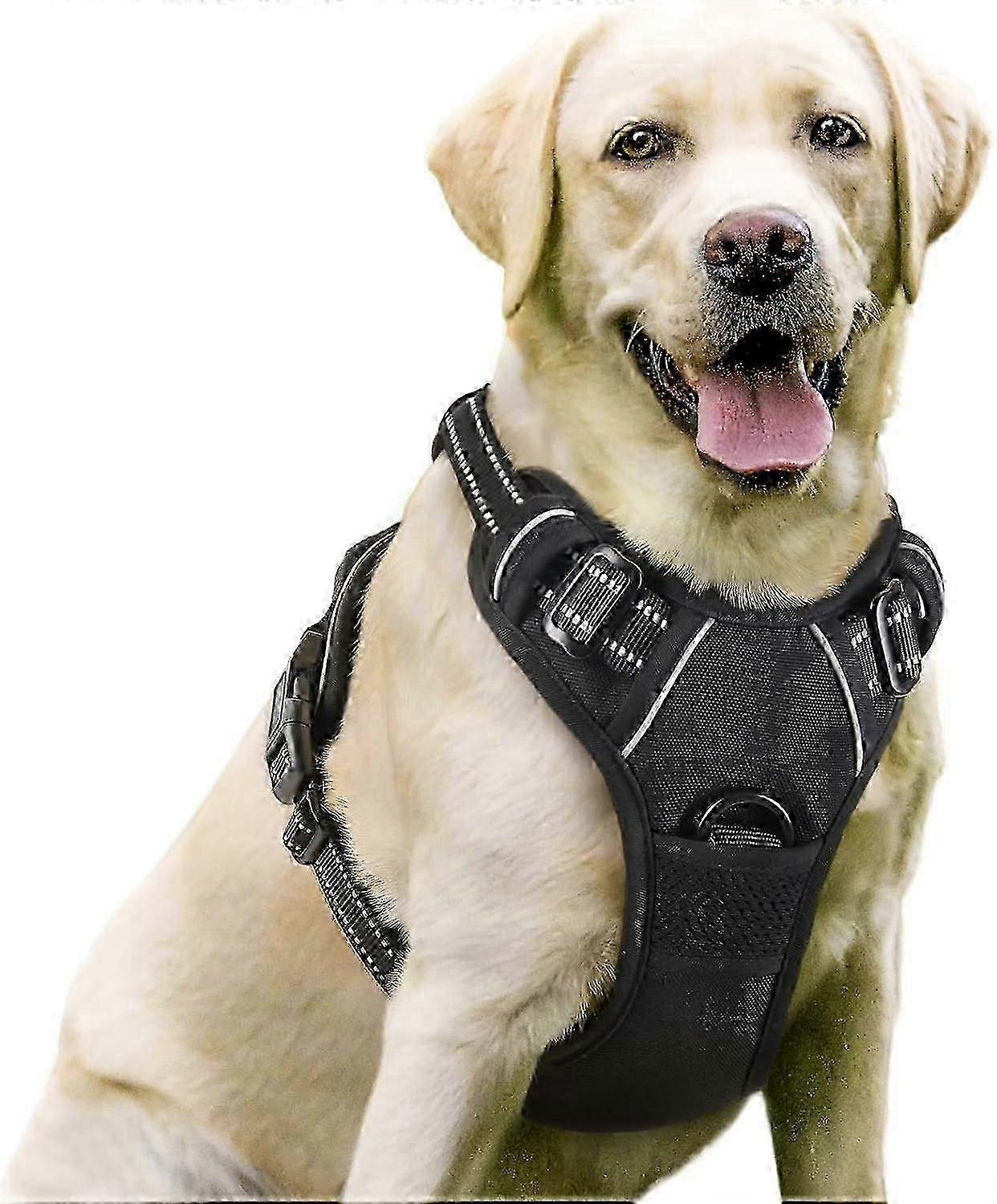 No-Pull Dual-Clip Adjustable Dog Harness