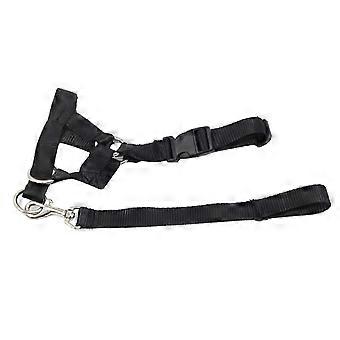 2025 Dog mouth Muzzle - with Towing Rope Adjustable Dog Head Collar Halter Prevent From Biting Barking Running Away L_HP