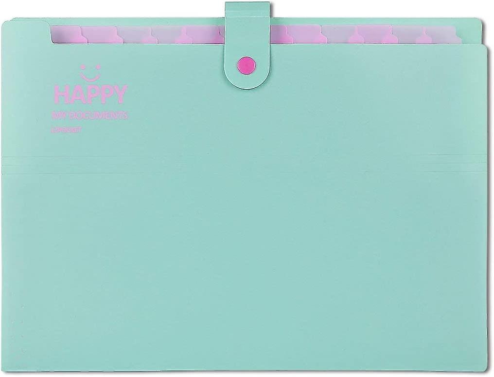 Expandable Portable File Folder, A4 Document Folder, A4 Folded Folder 12 compartments Handheld folde