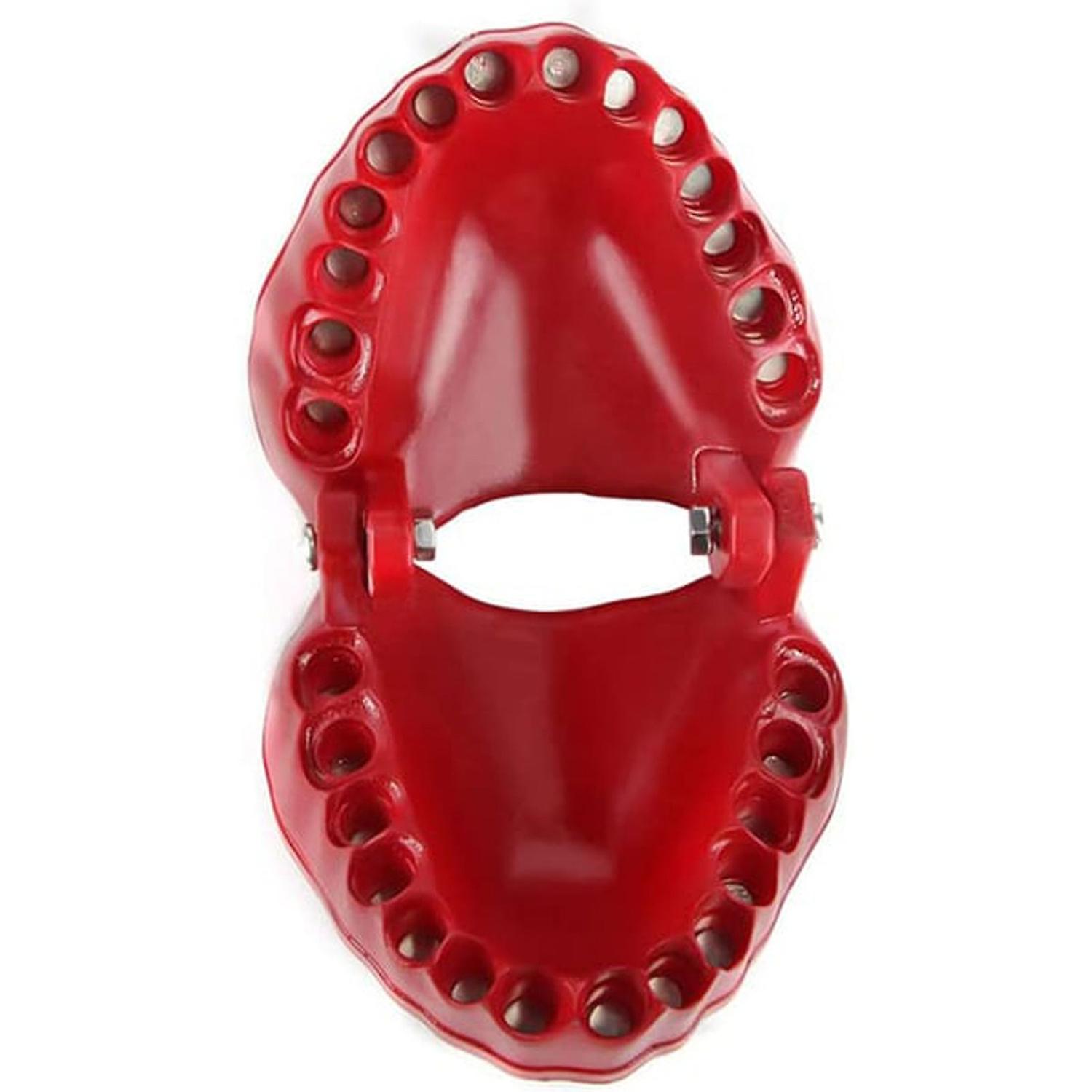 Practical Denture Drill Bit Holder for 1/4" Hex Bit and Drive