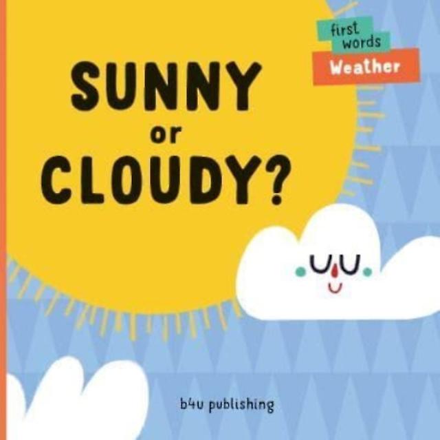Sunny Or Cloudy by Lenka Chytilova Paperback Book