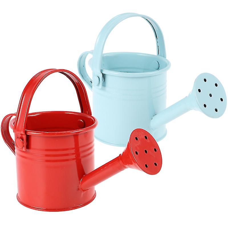 2pcs Watering Can For Plants