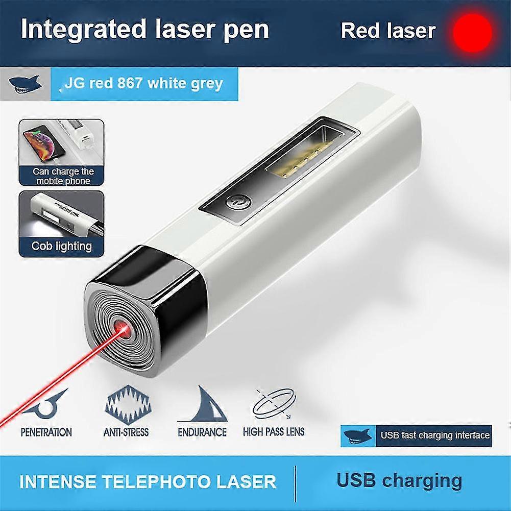 Laser Teaser Pen Cat Kitten Fun Exercise Play Toy Mouse Projecting Pointer Red Green