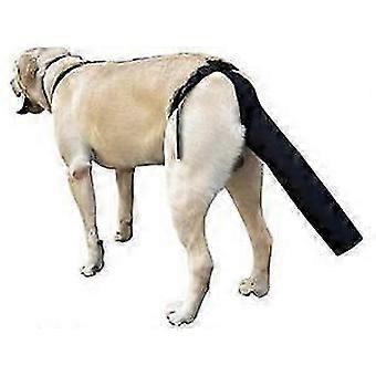 Dog Tail Protector, Dog Tail Guard Dog Tail Cover for Wounds Black Dog Harness