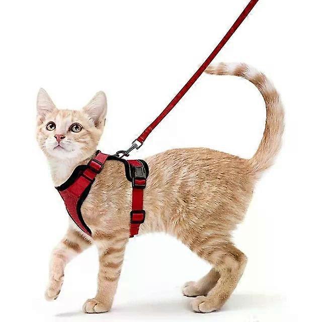 Soft Mesh Small Cat Harness and Leash Set Adjustable Vest Escape Proof for Pet Kitten Easy Control Reflective Puppy DogsPet Leashes
