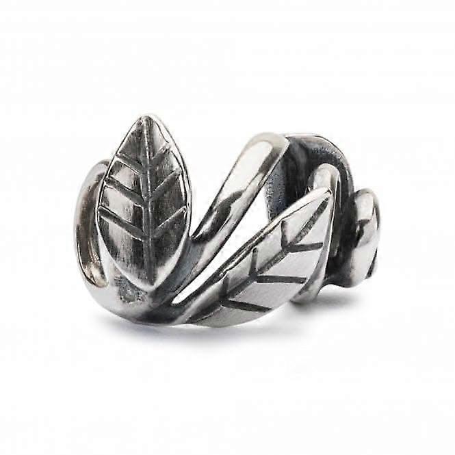 Framed by Nature Silver Bead TAGBE-20210