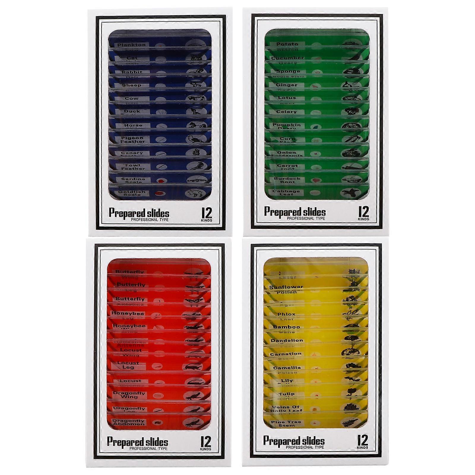 Kids' Educational , Unbreakable PVC with Varied Specimens