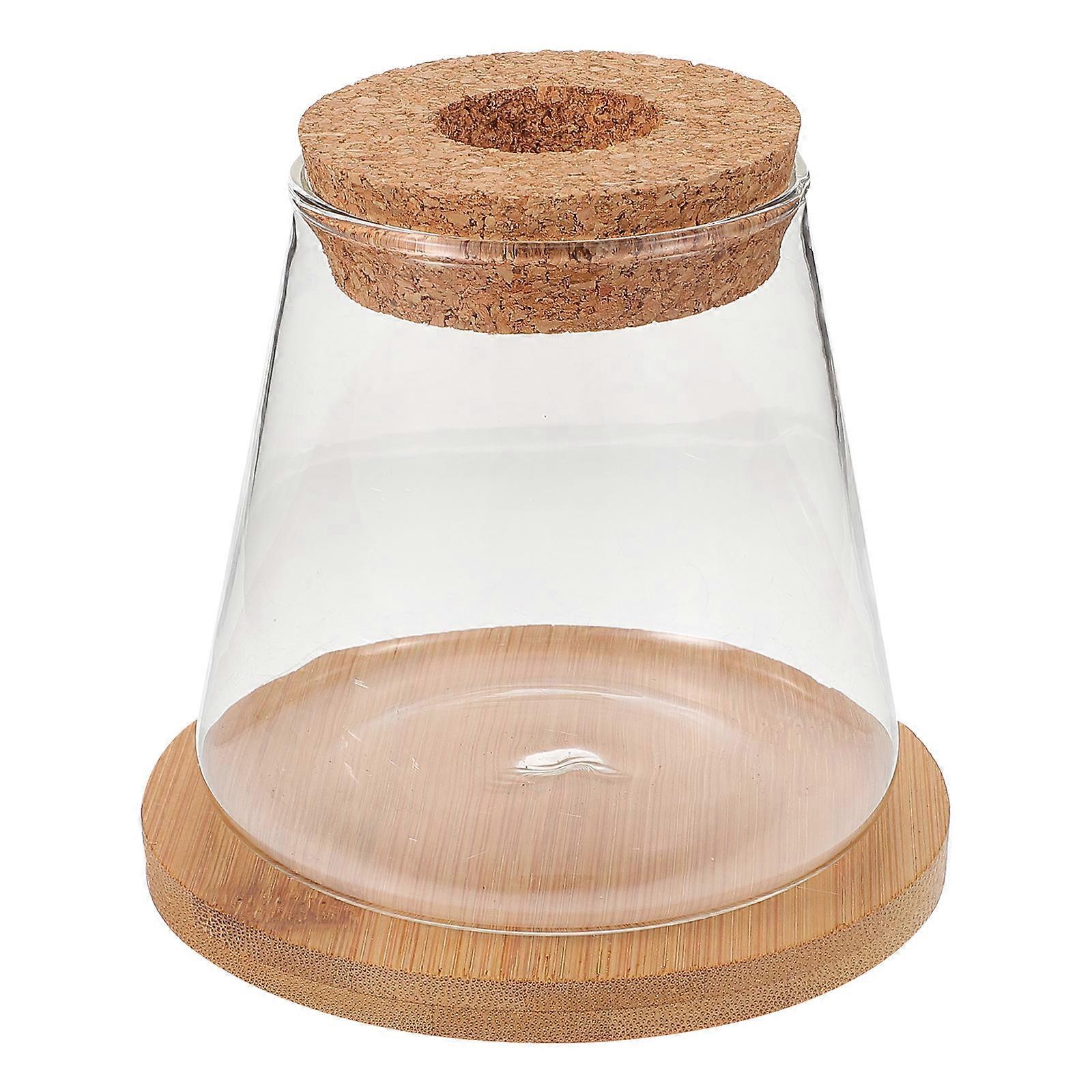 Clear Glass Small Fish Tank Compact Design for 4.3×4.3×3.5in 1Set