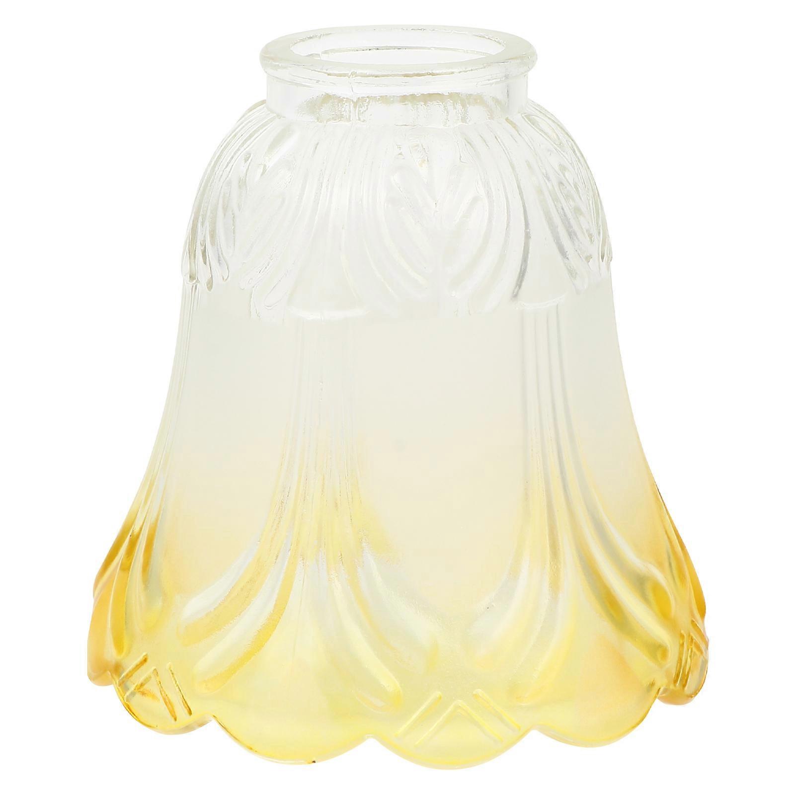 Chandelier Cover Glass Light Shade for Lamp Use 2Pcs Assorted Color