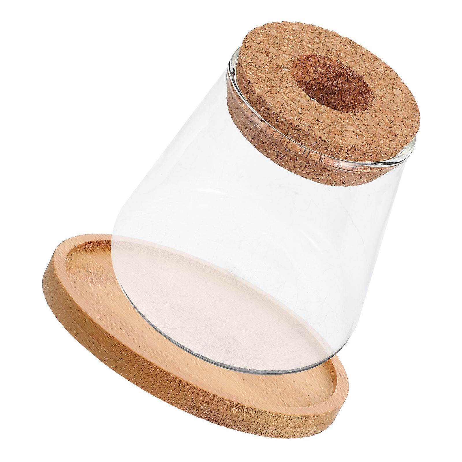 Glass Betta Tank Transparent Design Space-saving For Home Use And Office Use Includes Bamboo Lid 1 Set