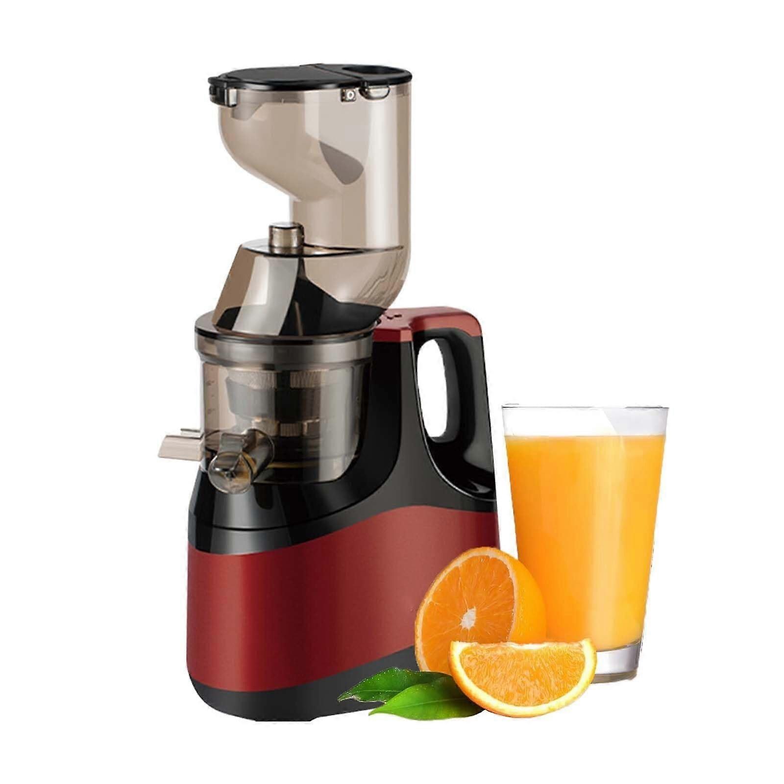 800W Slow Masticating Juicer Cold Press with Large Feed Chute and  Juice Yield