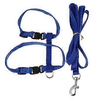 Rabbit Harness Leash for Pet Walking 5Pcs Adjustable Sky- Lead
