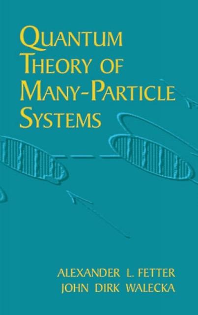 Quantum Theory Of Manyparticle Systems by John Dirk Walecka Paperback