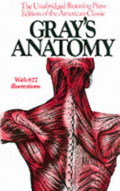 Grays Anatomy by Henry Gray Paperback