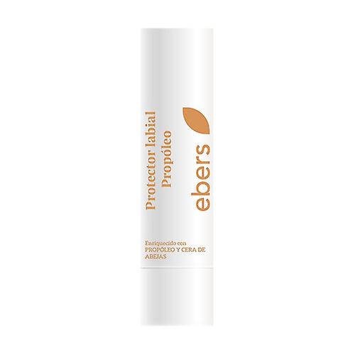 Propolis and Beeswax Lipstick 40 g