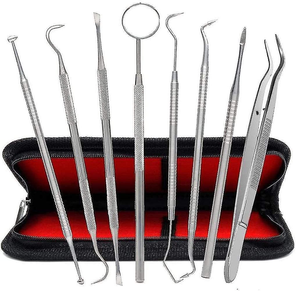 Ensemble de 8 instruments dentaires en acier inoxydable