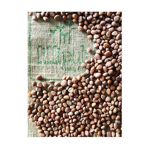 Daikon Radish Seeds 100 g