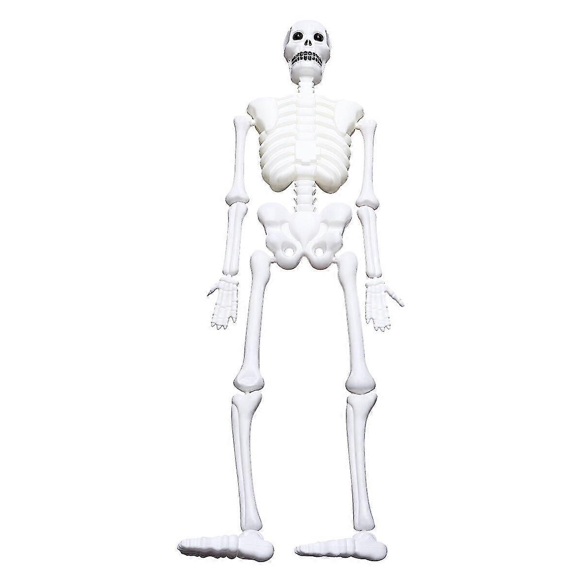 1pc Halloween Skeleton Full Body Halloween Skeleton With Movable Joints Skull