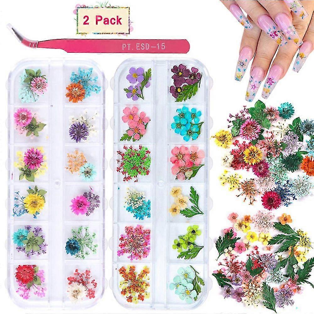 네일 아트용 2 상자 말린 꽃, 24 색 드라이 플라워 미니 진짜 천연 꽃 네일 아트 용품 3D 아플리케 네일 장식 스티커 팁 남자