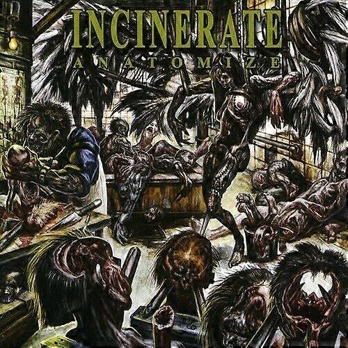 Anatomize CD (2008)
