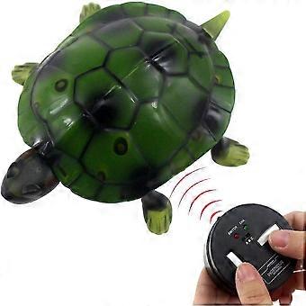 Ir Remote Tortoise Crawl Fake Electric Animal Toy Car Vehicle For Kids Gi