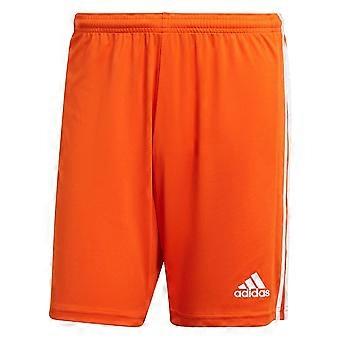 Adidas Squadra 21 GN8084 allenamento tutto l'anno uomo