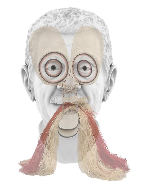 Tavares Strachan In Plain Sight Hardback Book