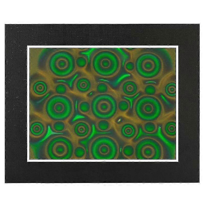 Observat 4x6 Inch, Reusable Observat , Display