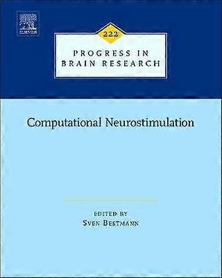Computational Neurostimulation