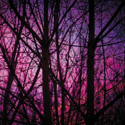 Dave Bessell Reality Engine CD (2020) NEW