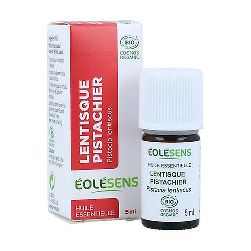 Lentisk pistachio 5 ml of essential oil