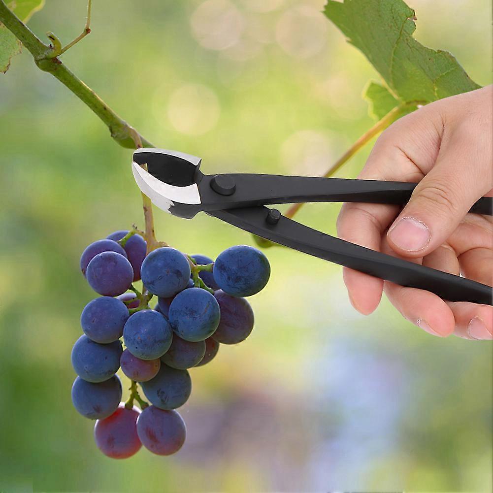 Hand Forged Bonsai Concave Branch Cutter Gardening Shears Scissors Modeling Tools