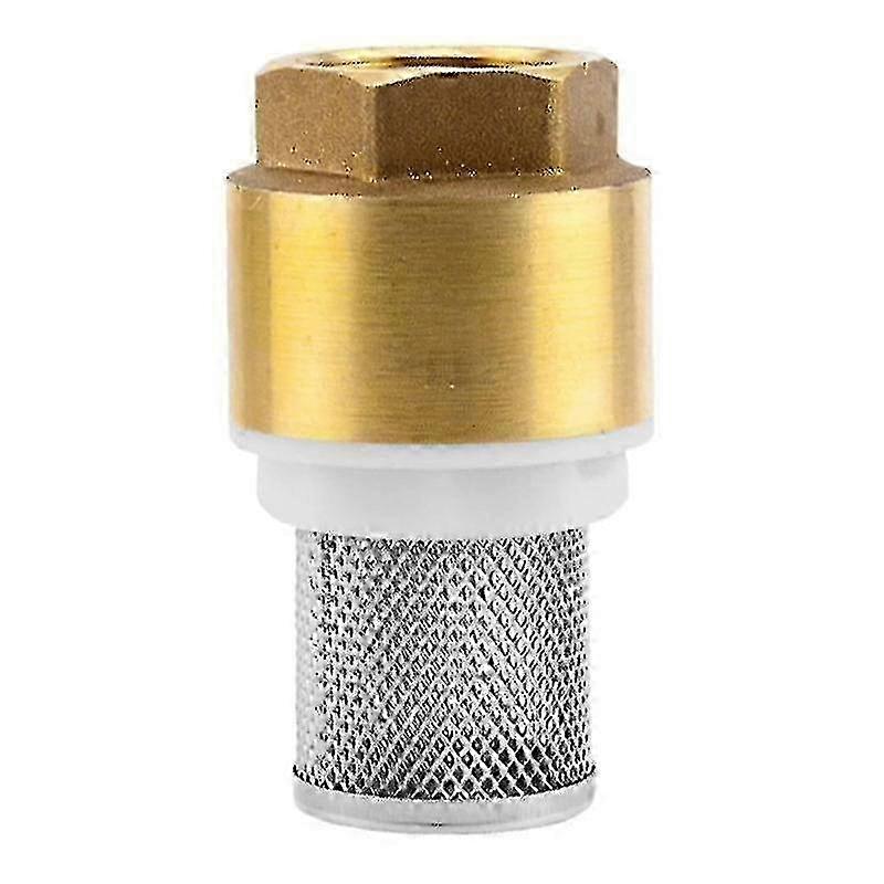 Slim Designs Vertical Foot Valves with Filter for Efficient Water Flows 1/3/4 inch