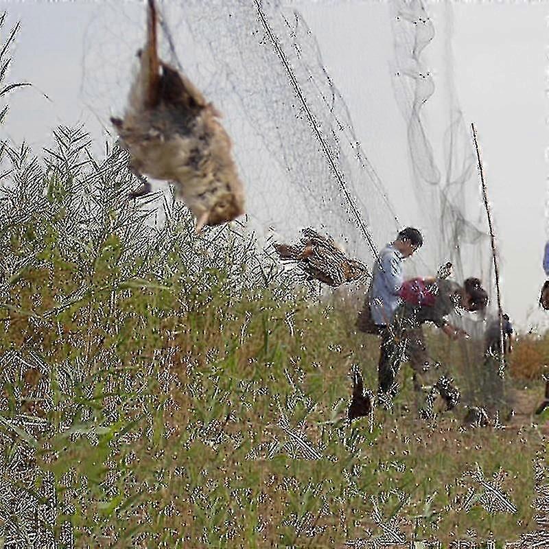 Bird Catcher Net Étang Filet Pêche Net Cultures FruitIer Légumes Fleur