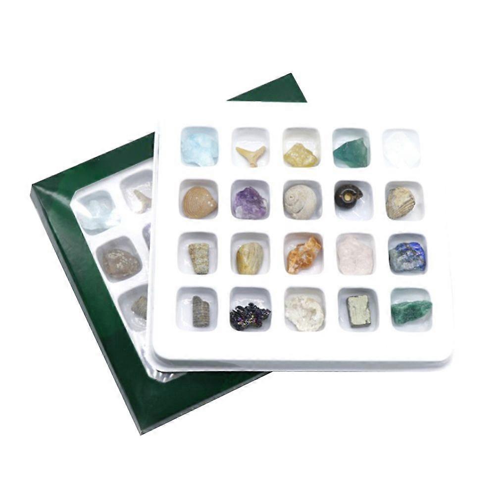 20 kinds of Mini Size Natural Crystal Agate Stone Rocks Minerals Fossils Kids Teaching Materials for Geology Enthusiasts Collection Gifts