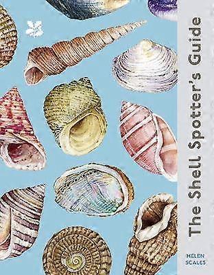 The Shell Spotter's Guide