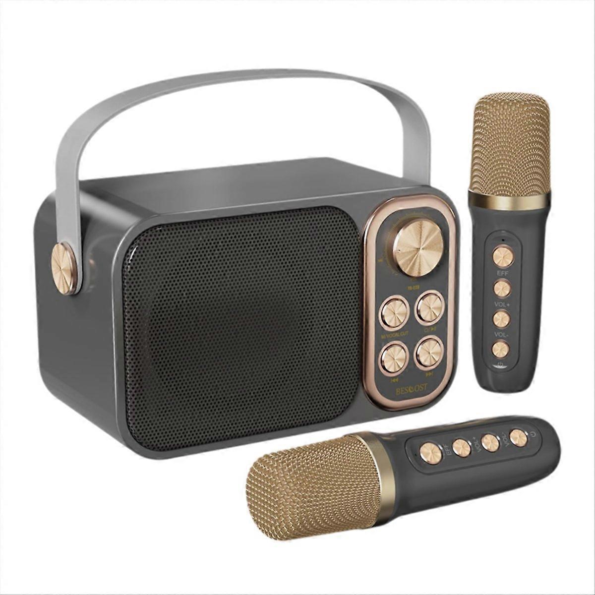 Portable Karaoke Machine with RGB LED Lights Wireless Microphones