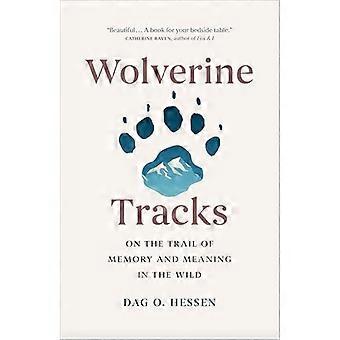 Wolverine Tracks On the Trail of Memory and Meaning in the Wild