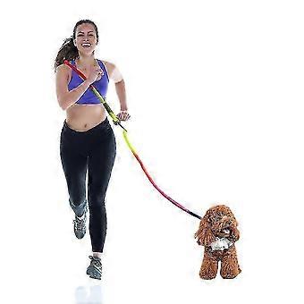 2026 Latest Model Leash Pet Dog Running Chain Leash Hands-free Rope Nylon Leash YT