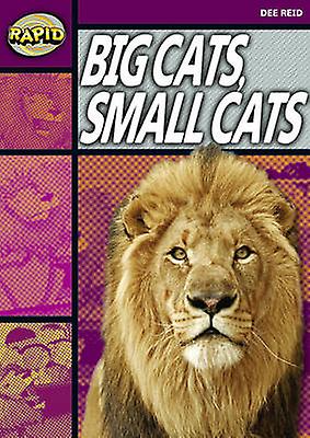 Rapid Reading Big Cats Small Cats Stage 1 Level 1a by Dee Reid Paperback Book