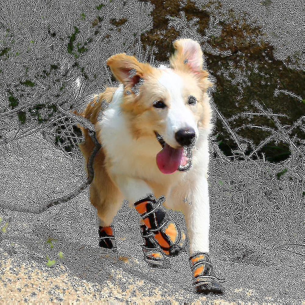 أحذية الحيوانات الأليفة للماء ، حماة وحيد مخلب تنفس مع عاكس ، وعرة المضادة للانزلاق مقاومة للماء للكلاب الصغيرة والمتوسطة الكبيرة ، حزمة من 