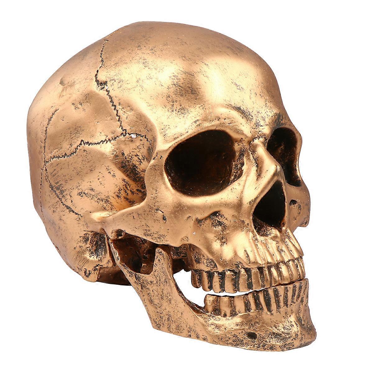 Halloween Skull Realistic Looking Skull Human Skeleton Skull Resin Model