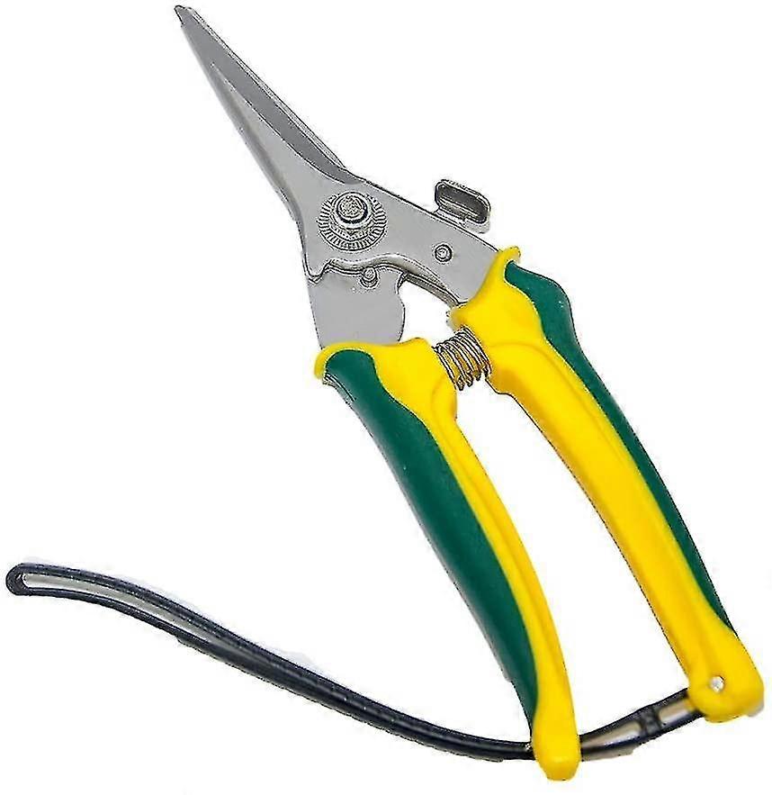 Fotsaks i karbonstål for geiteklover, sauer, 20 cm lang