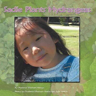 Sadie Plants Hydrangeas