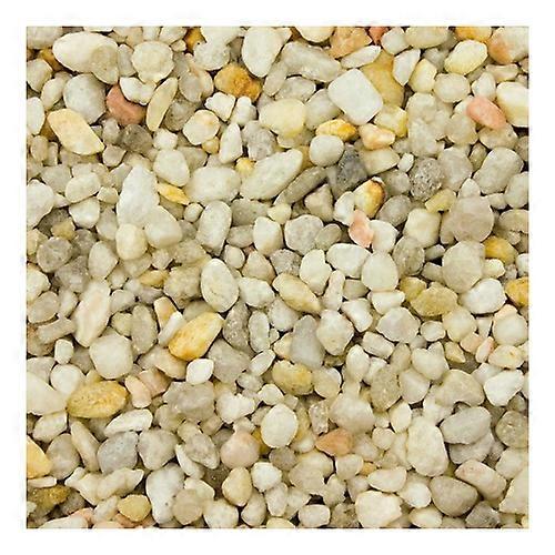 Estes Spectrastone Pebble Aquarium 砾石,海洋海滩鹅卵石,每片 1 块/5 磅