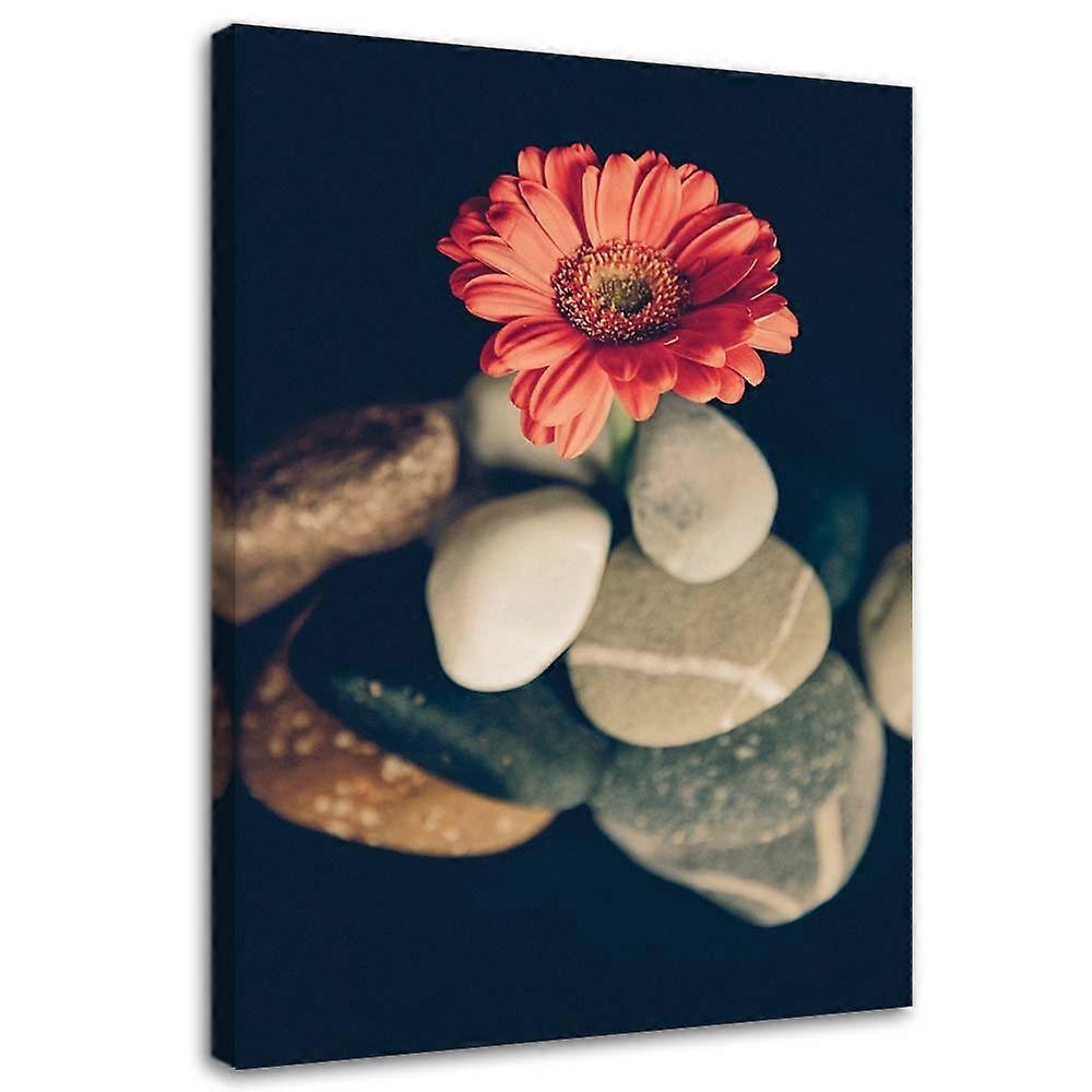 Lienzo, Piedras y flor roja - 70x100