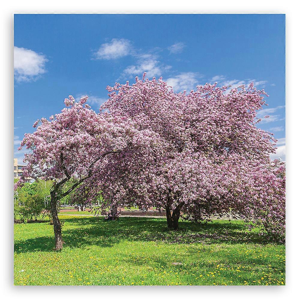 Fotobehang, Landschappen - Roze - 60x60