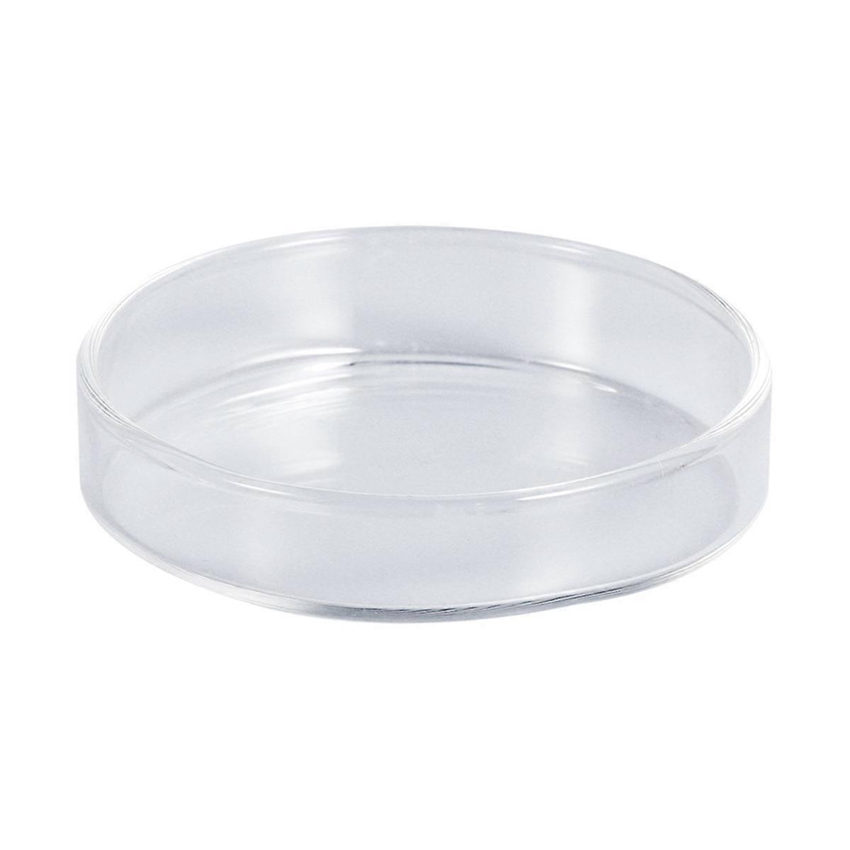 Crystal Glass Pet Feeder, Versatile Tray for Shrimp, Fish, and Reptiles in Enclosures